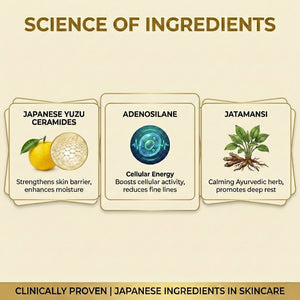 Burnout Recovery Protocol