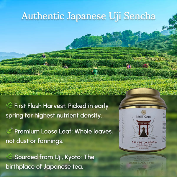 Daily Detox Uji Sencha