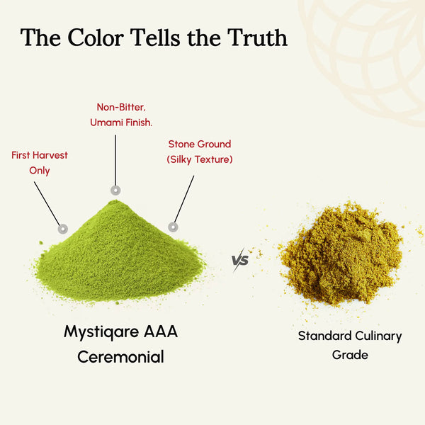 Zen Focus Matcha AAA Ceremonial Grade