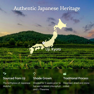 Zen Focus Matcha AAA Ceremonial Grade