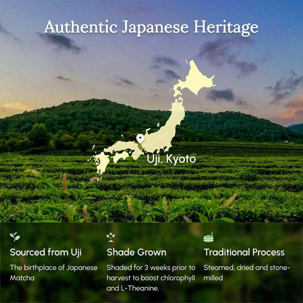 Zen Focus Matcha AAA Ceremonial Grade