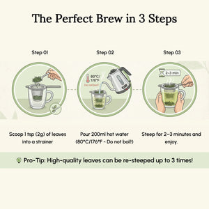 Daily Detox Uji Sencha