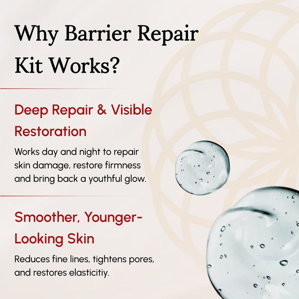 Barrier Repair 3-Step Kit