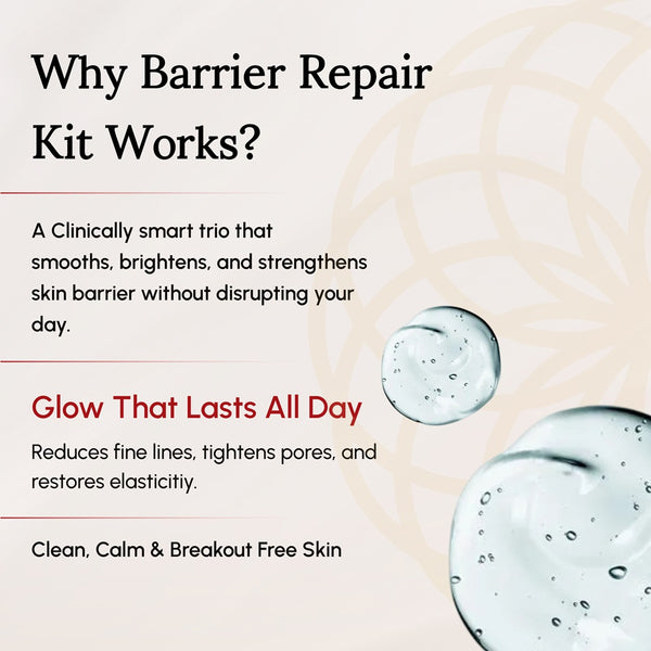 Barrier Repair 3-Step Kit